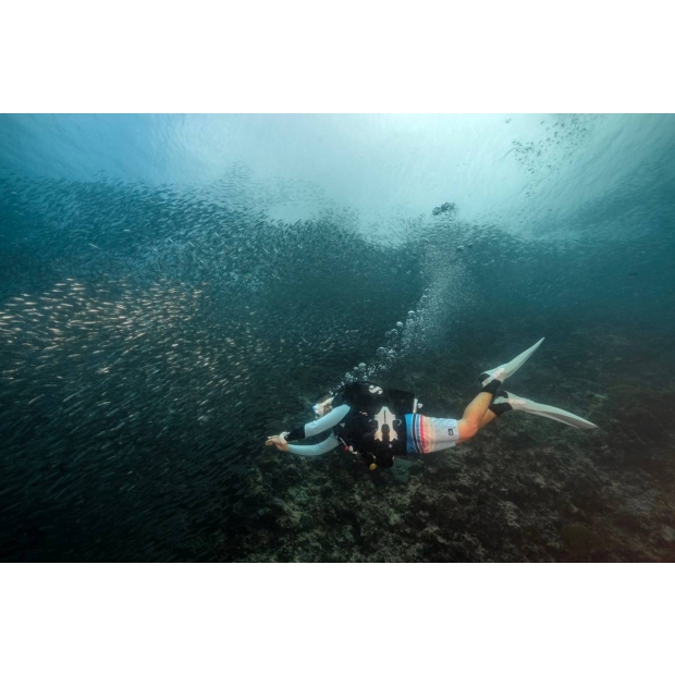 薄荷島-沙丁魚 _2_.jpg