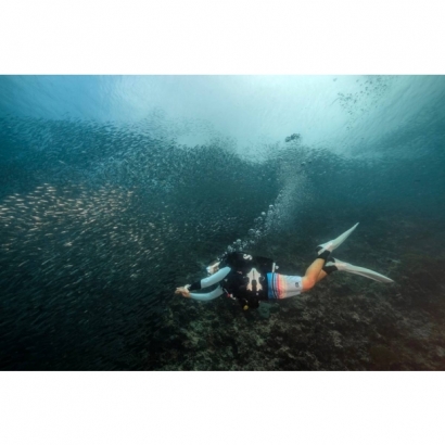 薄荷島-沙丁魚 _2_.jpg